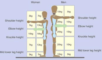 What is manual handling? (Guideline weights for lifting and lowering)
